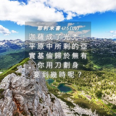 Picture 04 - 耶 利 米 書 47:5 CUVT - 迦 薩 成 了 光 禿 ； 平 原 中 所 剩 - Bible Verse Picture