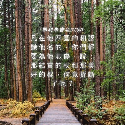 Picture 04 - 耶 利 米 書 48:17 CUVT - 凡 在 他 四 圍 的 和 認 識 他 名 的 - Bible Verse Picture