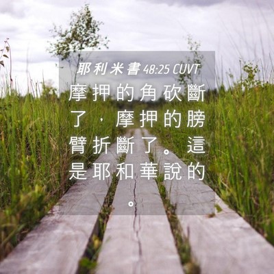 Picture 04 - 耶 利 米 書 48:25 CUVT - 摩 押 的 角 砍 斷 了 ， 摩 押 的 膀 - Bible Verse Picture