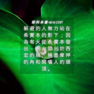 Picture 04 - 耶 利 米 書 48:45 CUVT - 躲 避 的 人 無 力 站 在 希 實 本 的 - Bible Verse Picture