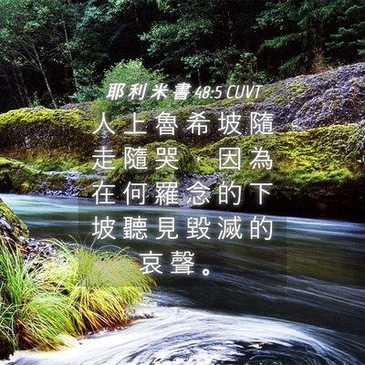 Picture 04 - 耶 利 米 書 48:5 CUVT - 人 上 魯 希 坡 隨 走 隨 哭 ， 因 為 - Bible Verse Picture