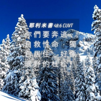 Picture 04 - 耶 利 米 書 48:6 CUVT - 你 們 要 奔 逃 ， 自 救 性 命 ， 獨 - Bible Verse Picture