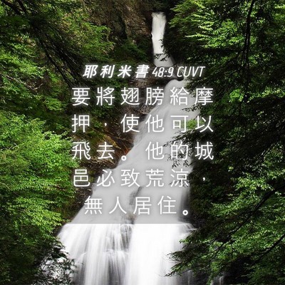 Picture 04 - 耶 利 米 書 48:9 CUVT - 要 將 翅 膀 給 摩 押 ， 使 他 可 以 - Bible Verse Picture
