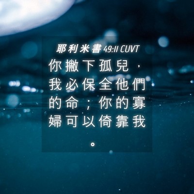Picture 04 - 耶 利 米 書 49:11 CUVT - 你 撇 下 孤 兒 ， 我 必 保 全 他 們 - Bible Verse Picture
