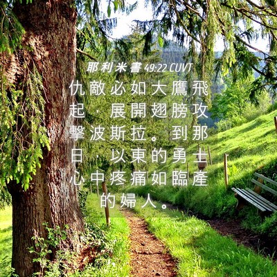 Picture 04 - 耶 利 米 書 49:22 CUVT - 仇 敵 必 如 大 鷹 飛 起 ， 展 開 翅 - Bible Verse Picture