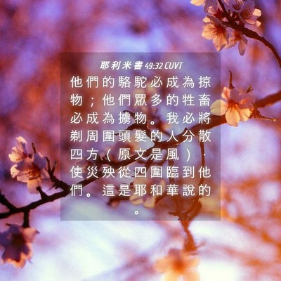 Picture 04 - 耶 利 米 書 49:32 CUVT - 他 們 的 駱 駝 必 成 為 掠 物 ； 他 - Bible Verse Picture