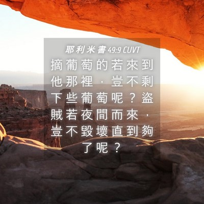 Picture 04 - 耶 利 米 書 49:9 CUVT - 摘 葡 萄 的 若 來 到 他 那 裡 ， 豈 - Bible Verse Picture
