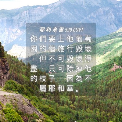 Picture 04 - 耶 利 米 書 5:10 CUVT - 你 們 要 上 他 葡 萄 園 的 牆 施 行 - Bible Verse Picture