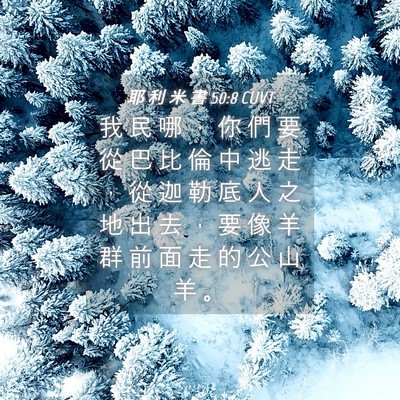 Picture 04 - 耶 利 米 書 50:8 CUVT - 我 民 哪 ， 你 們 要 從 巴 比 倫 中 - Bible Verse Picture