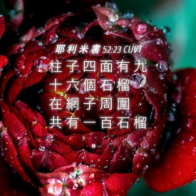Picture 04 - 耶 利 米 書 52:23 CUVT - 柱 子 四 面 有 九 十 六 個 石 榴 ， - Bible Verse Picture