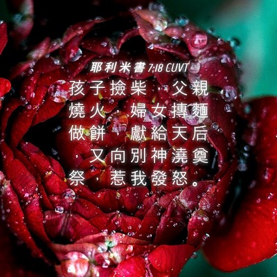 Picture 04 - 耶 利 米 書 7:18 CUVT - 孩 子 撿 柴 ， 父 親 燒 火 ， 婦 女 - Bible Verse Picture