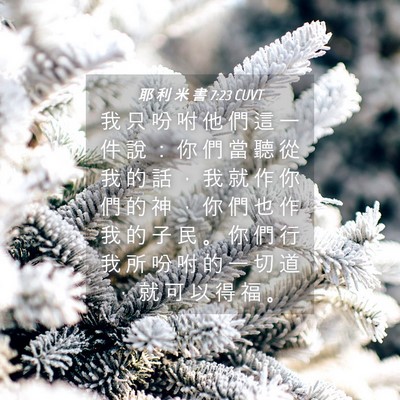 Picture 04 - 耶 利 米 書 7:23 CUVT - 我 只 吩 咐 他 們 這 一 件 說 ： 你 - Bible Verse Picture