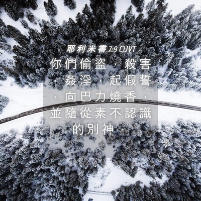 Picture 04 - 耶 利 米 書 7:9 CUVT - 你 們 偷 盜 ， 殺 害 ， 姦 淫 ， 起 - Bible Verse Picture