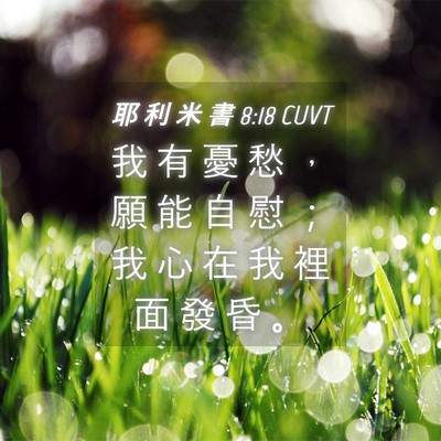 Picture 04 - 耶 利 米 書 8:18 CUVT - 我 有 憂 愁 ， 願 能 自 慰 ； 我 心 - Bible Verse Picture