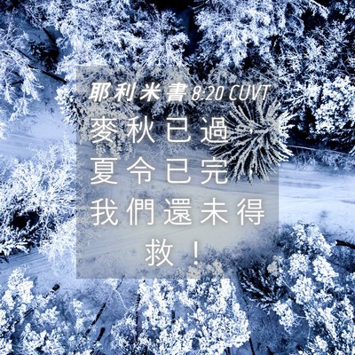 Picture 04 - 耶 利 米 書 8:20 CUVT - 麥 秋 已 過 ， 夏 令 已 完 ， 我 們 - Bible Verse Picture