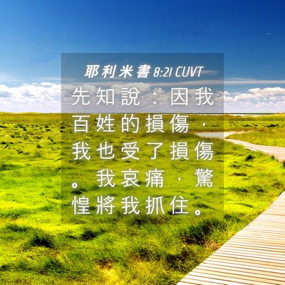 Picture 04 - 耶 利 米 書 8:21 CUVT - 先 知 說 ： 因 我 百 姓 的 損 傷 ， - Bible Verse Picture