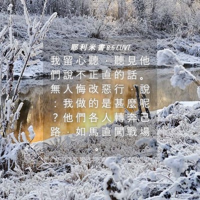 Picture 04 - 耶 利 米 書 8:6 CUVT - 我 留 心 聽 ， 聽 見 他 們 說 不 正 - Bible Verse Picture