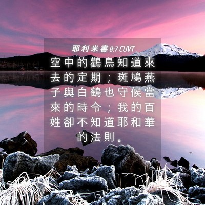 Picture 04 - 耶 利 米 書 8:7 CUVT - 空 中 的 鸛 鳥 知 道 來 去 的 定 期 - Bible Verse Picture