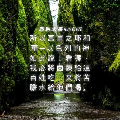 Picture 04 - 耶 利 米 書 9:15 CUVT - 所 以 萬 軍 之 耶 和 華 ─ 以 色 列 - Bible Verse Picture