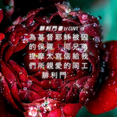 Picture 04 - 腓 利 門 書 1:1 CUVT - 為 基 督 耶 穌 被 囚 的 保 羅 ， 同 - Bible Verse Picture