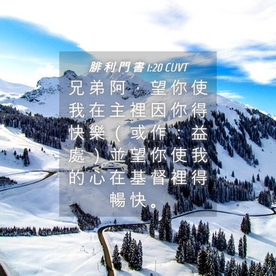 Picture 04 - 腓 利 門 書 1:20 CUVT - 兄 弟 阿 ， 望 你 使 我 在 主 裡 因 - Bible Verse Picture