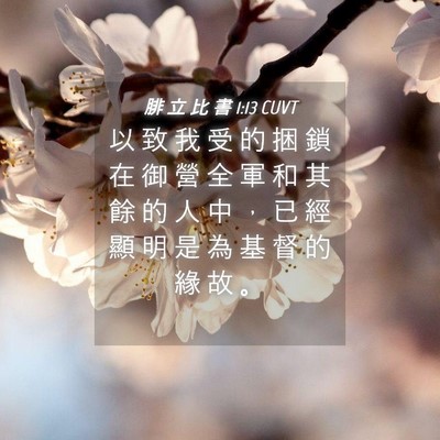 Picture 04 - 腓 立 比 書 1:13 CUVT - 以 致 我 受 的 捆 鎖 在 御 營 全 軍 - Bible Verse Picture