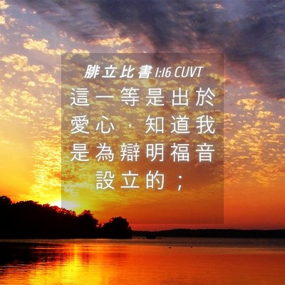 Picture 04 - 腓 立 比 書 1:16 CUVT - 這 一 等 是 出 於 愛 心 ， 知 道 我 - Bible Verse Picture