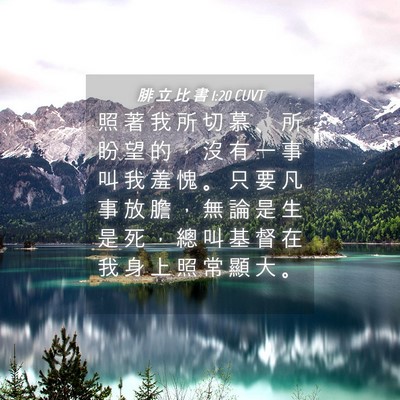 Picture 04 - 腓 立 比 書 1:20 CUVT - 照 著 我 所 切 慕 、 所 盼 望 的 ， - Bible Verse Picture