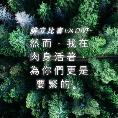 Picture 04 - 腓 立 比 書 1:24 CUVT - 然 而 ， 我 在 肉 身 活 著 ， 為 你 - Bible Verse Picture