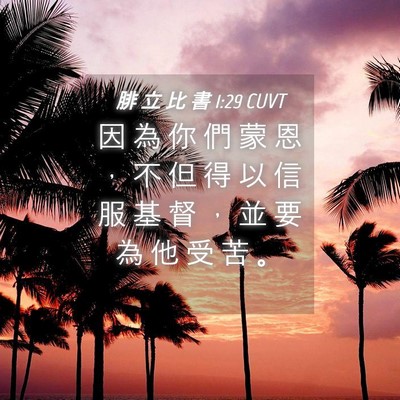 Picture 04 - 腓 立 比 書 1:29 CUVT - 因 為 你 們 蒙 恩 ， 不 但 得 以 信 - Bible Verse Picture