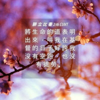 Picture 04 - 腓 立 比 書 2:16 CUVT - 將 生 命 的 道 表 明 出 來 ， 叫 我 - Bible Verse Picture
