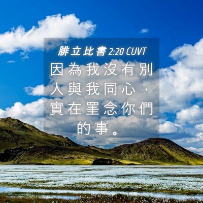 Picture 04 - 腓 立 比 書 2:20 CUVT - 因 為 我 沒 有 別 人 與 我 同 心 ， - Bible Verse Picture