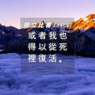 Picture 04 - 腓 立 比 書 3:11 CUVT - 或 者 我 也 得 以 從 死 裡 復 活 - Bible Verse Picture