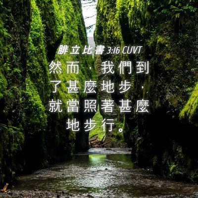 Picture 04 - 腓 立 比 書 3:16 CUVT - 然 而 ， 我 們 到 了 甚 麼 地 步 ， - Bible Verse Picture