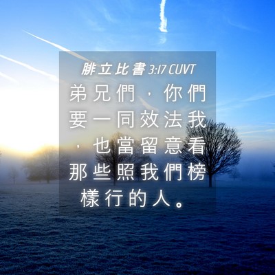 Picture 04 - 腓 立 比 書 3:17 CUVT - 弟 兄 們 ， 你 們 要 一 同 效 法 我 - Bible Verse Picture