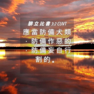 Picture 04 - 腓 立 比 書 3:2 CUVT - 應 當 防 備 犬 類 ， 防 備 作 惡 的 - Bible Verse Picture