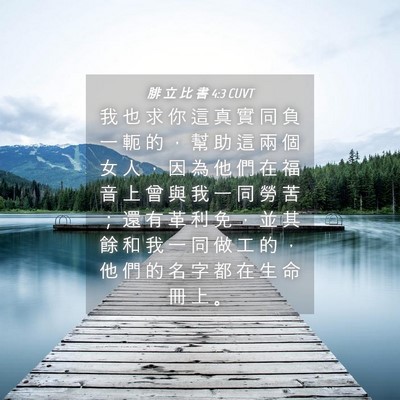 Picture 04 - 腓 立 比 書 4:3 CUVT - 我 也 求 你 這 真 實 同 負 一 軛 的 - Bible Verse Picture