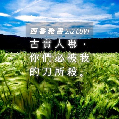 Picture 04 - 西 番 雅 書 2:12 CUVT - 古 實 人 哪 ， 你 們 必 被 我 的 刀 - Bible Verse Picture