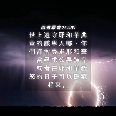 Picture 04 - 西 番 雅 書 2:3 CUVT - 世 上 遵 守 耶 和 華 典 章 的 謙 卑 - Bible Verse Picture
