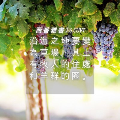 Picture 04 - 西 番 雅 書 2:6 CUVT - 沿 海 之 地 要 變 為 草 場 ， 其 上 - Bible Verse Picture