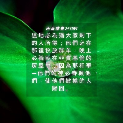 Picture 04 - 西 番 雅 書 2:7 CUVT - 這 地 必 為 猶 大 家 剩 下 的 人 所 - Bible Verse Picture