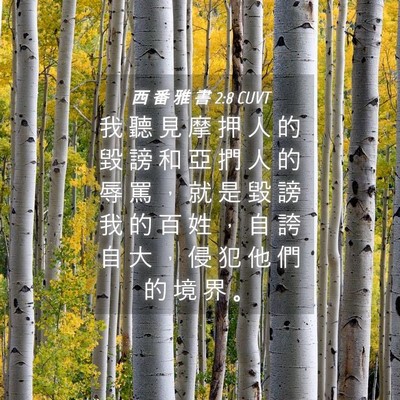 Picture 04 - 西 番 雅 書 2:8 CUVT - 我 聽 見 摩 押 人 的 毀 謗 和 亞 捫 - Bible Verse Picture