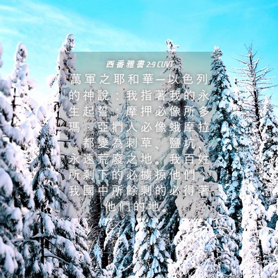 Picture 04 - 西 番 雅 書 2:9 CUVT - 萬 軍 之 耶 和 華 ─ 以 色 列 的 神 - Bible Verse Picture