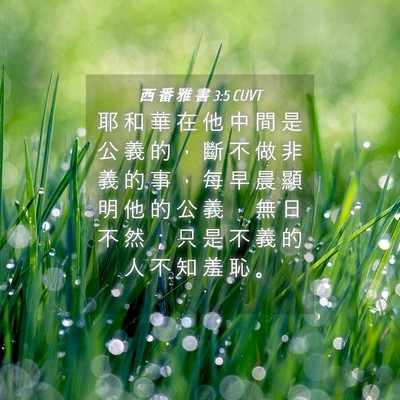 Picture 04 - 西 番 雅 書 3:5 CUVT - 耶 和 華 在 他 中 間 是 公 義 的 ， - Bible Verse Picture