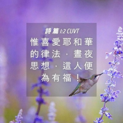 Picture 04 - 詩 篇 1:2 CUVT - 惟 喜 愛 耶 和 華 的 律 法 ， 晝 夜 - Bible Verse Picture