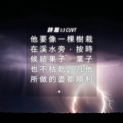 Picture 04 - 詩 篇 1:3 CUVT - 他 要 像 一 棵 樹 栽 在 溪 水 旁 ， - Bible Verse Picture