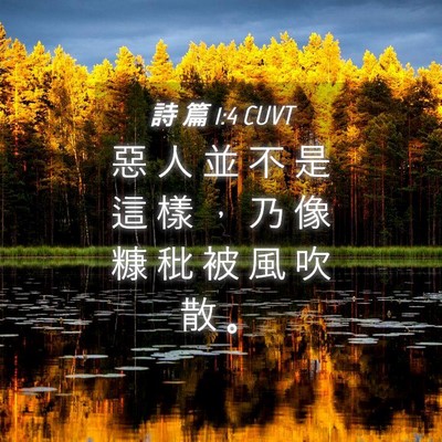 Picture 04 - 詩 篇 1:4 CUVT - 惡 人 並 不 是 這 樣 ， 乃 像 糠 秕 - Bible Verse Picture