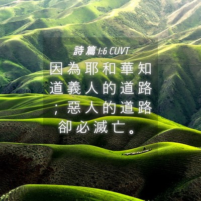 Picture 04 - 詩 篇 1:6 CUVT - 因 為 耶 和 華 知 道 義 人 的 道 路 - Bible Verse Picture