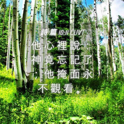 Picture 04 - 詩 篇 10:11 CUVT - 他 心 裡 說 ： 神 竟 忘 記 了 ； 他 - Bible Verse Picture