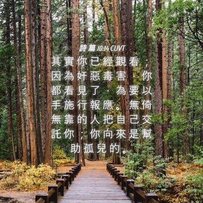 Picture 04 - 詩 篇 10:14 CUVT - 其 實 你 已 經 觀 看 ； 因 為 奸 惡 - Bible Verse Picture